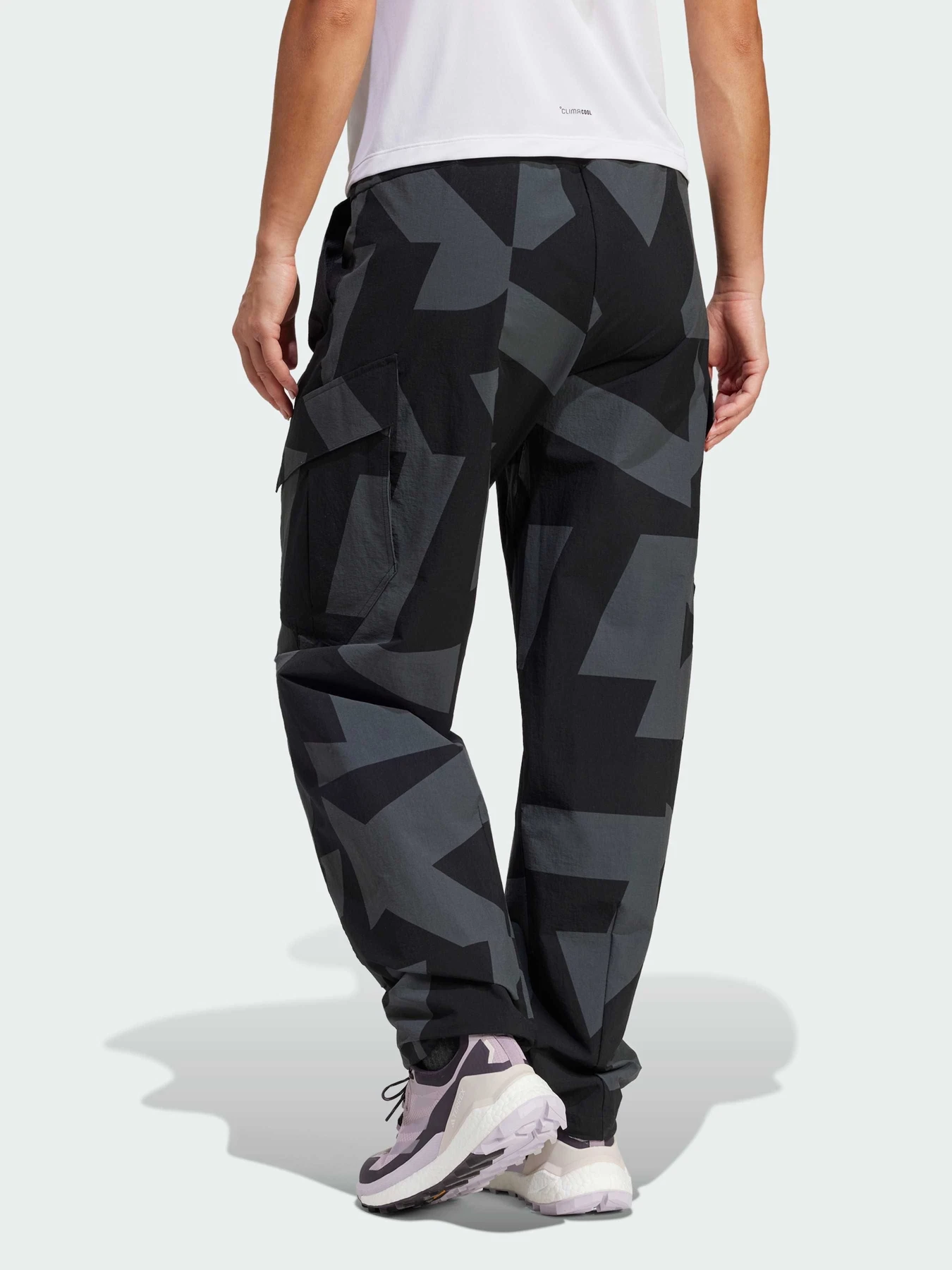Брюки Adidas Terrex модель JF3702 Фото