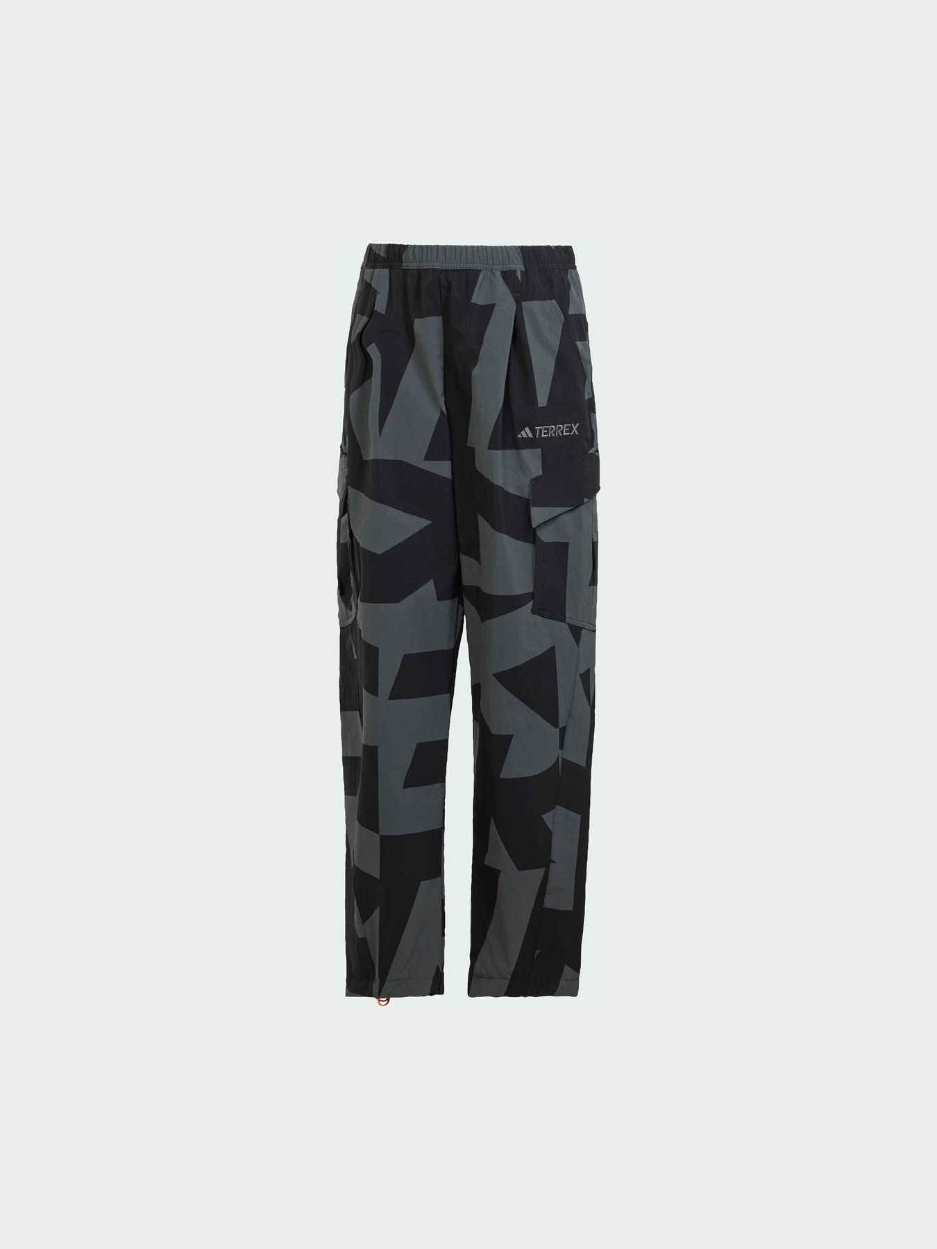 Брюки Adidas Terrex модель JF3702 Фото