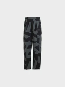 Брюки Adidas Terrex модель JF3702 Фото