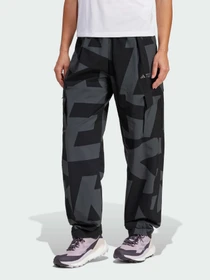 Брюки Adidas Terrex модель JF3702 Фото