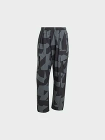Брюки Adidas Terrex модель JF3716 Фото