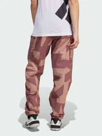 Брюки Adidas Terrex модель JE9430 Фото