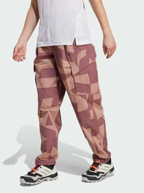 Брюки Adidas Terrex модель JE9430 Фото