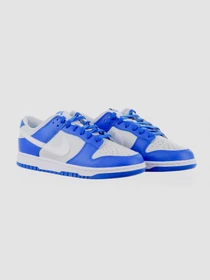 Кросівки NIKE Dunk Low Sc модель FN3416-001 Фото