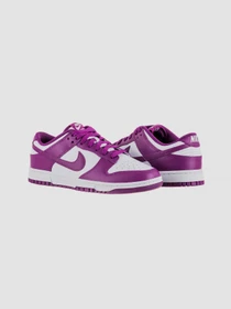 Кросівки NIKE Dunk Low Retro модель DV0833-107 Фото