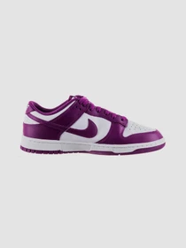 Кросівки NIKE Dunk Low Retro модель DV0833-107 Фото