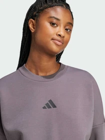 Худі та світшоти Adidas 3 Stripes модель JE0214 Фото