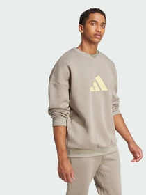 Худи и свитшоты Adidas модель JI8771 Фото