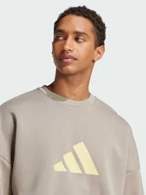 Худи и свитшоты Adidas модель JI8771 Фото