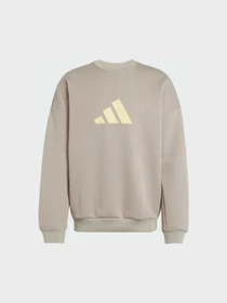 Худи и свитшоты Adidas модель JI8771 Фото