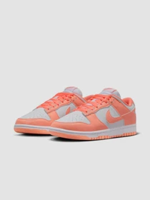 Кроссовки NIKE Dunk Low Next Nature модель DD1873-109 Фото