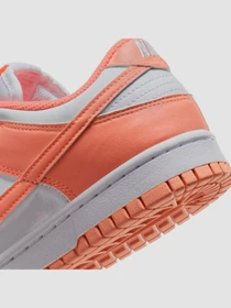 Кроссовки NIKE Dunk Low Next Nature модель DD1873-109 Фото