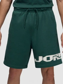 Шорты NIKE модель FV7231-366 Фото