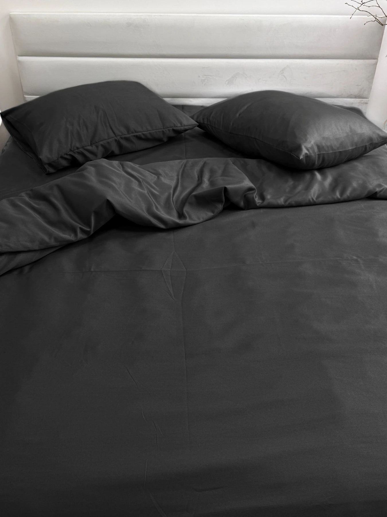 Комплект постельного белья Black чёрного цвета Ecotton модель 24554 Комплект постельного белья Black чёрного цвета Ecotton модель 24554 Фото