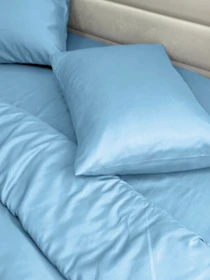 Комплект постільної білизни Blue блакитного кольору Ecotton модель 24557 Фото