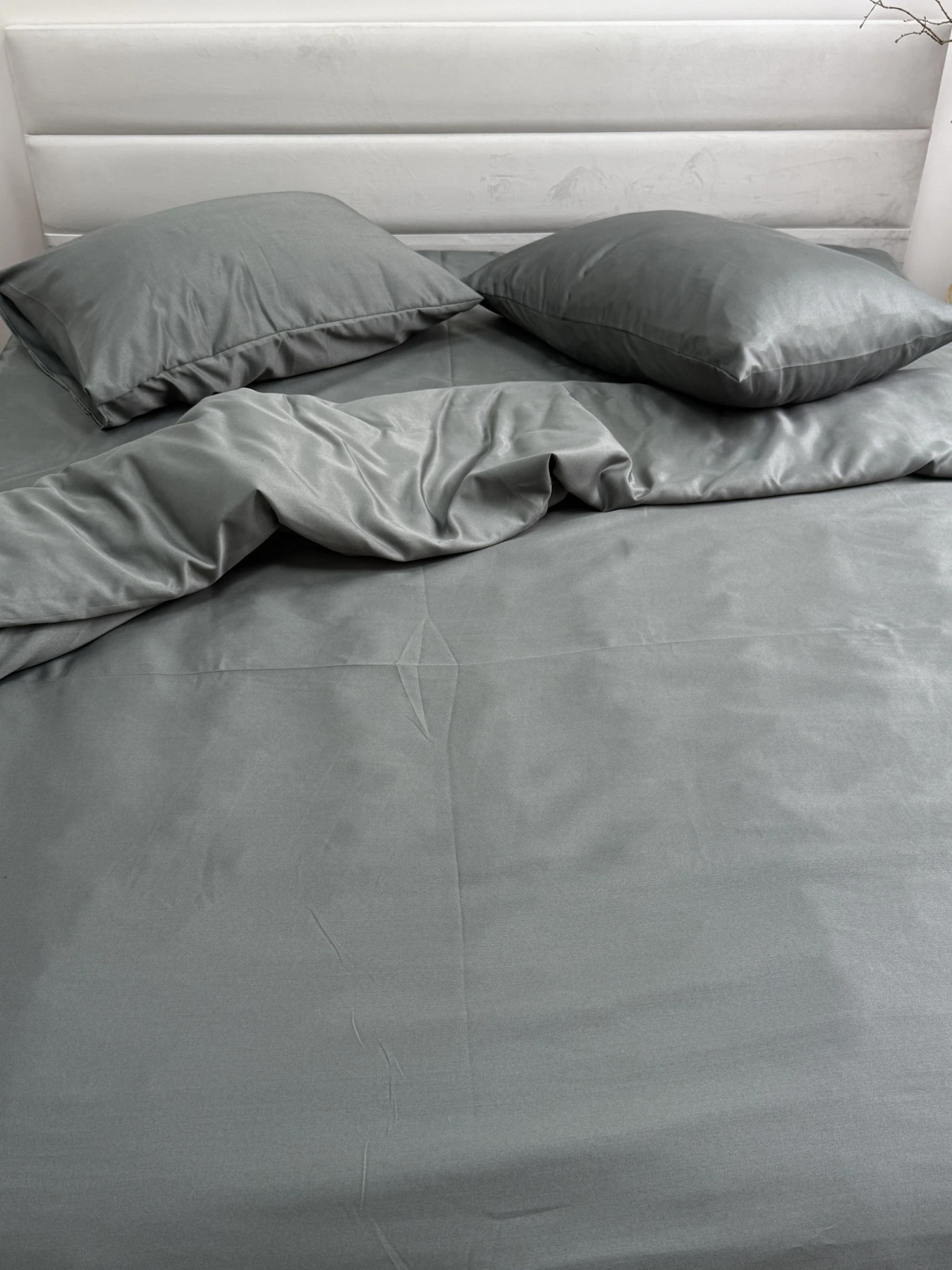Комплект постельного белья Nid Grey тёмно-серый Ecotton модель 24556 Комплект постельного белья Nid Grey тёмно-серый Ecotton модель 24556 Фото
