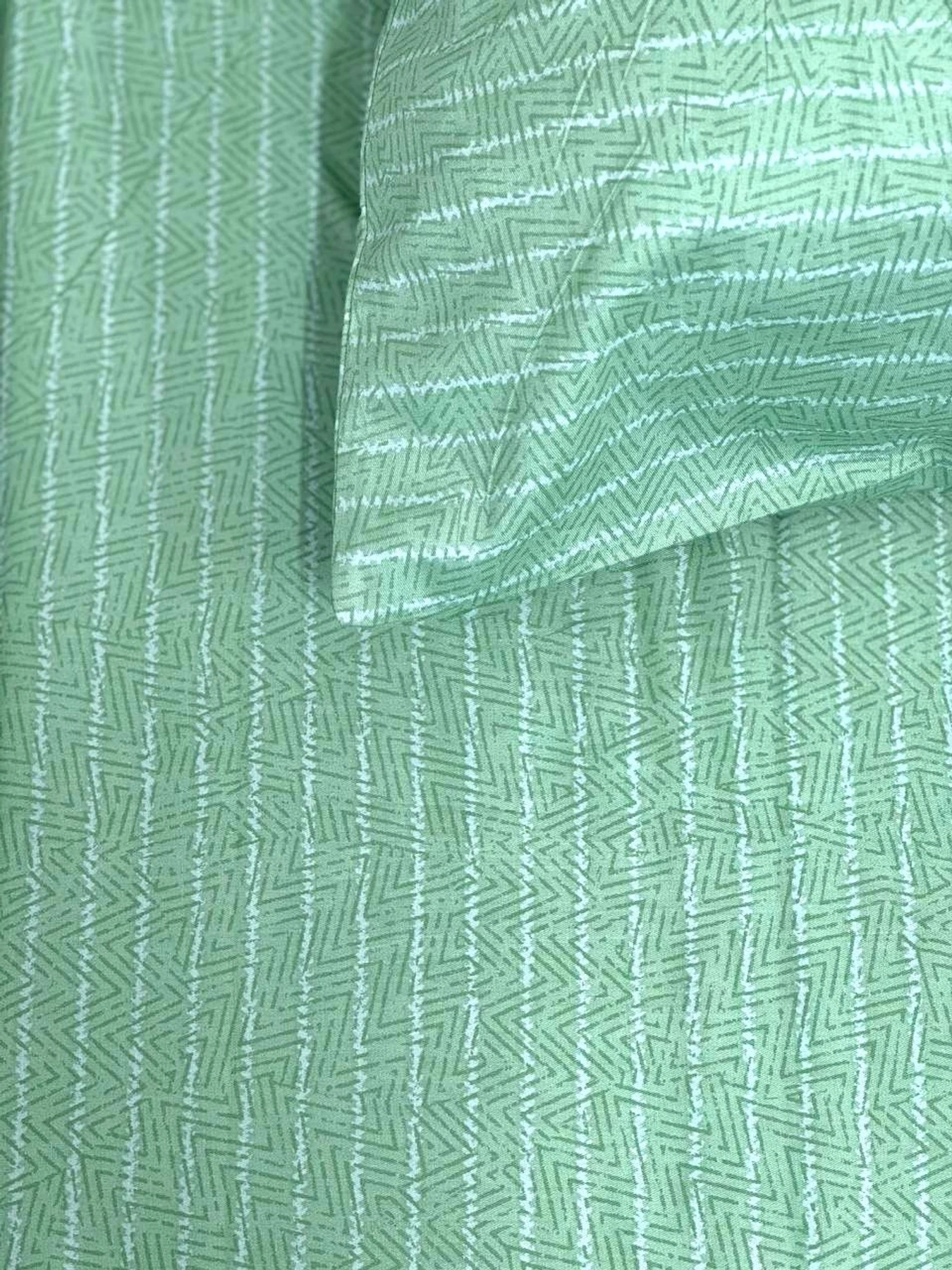 Комплект постільної білизни Тропічна папороть Ecotton модель 23348-21006 Комплект постільної білизни Тропічна папороть Ecotton модель 23348-21006 Фото