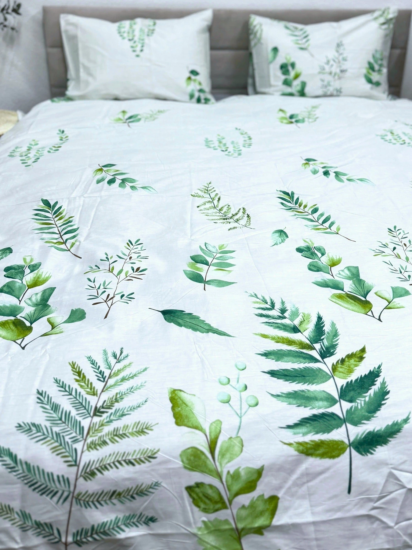 Комплект постільної білизни з Папороттю Ecotton модель 23671 Фото