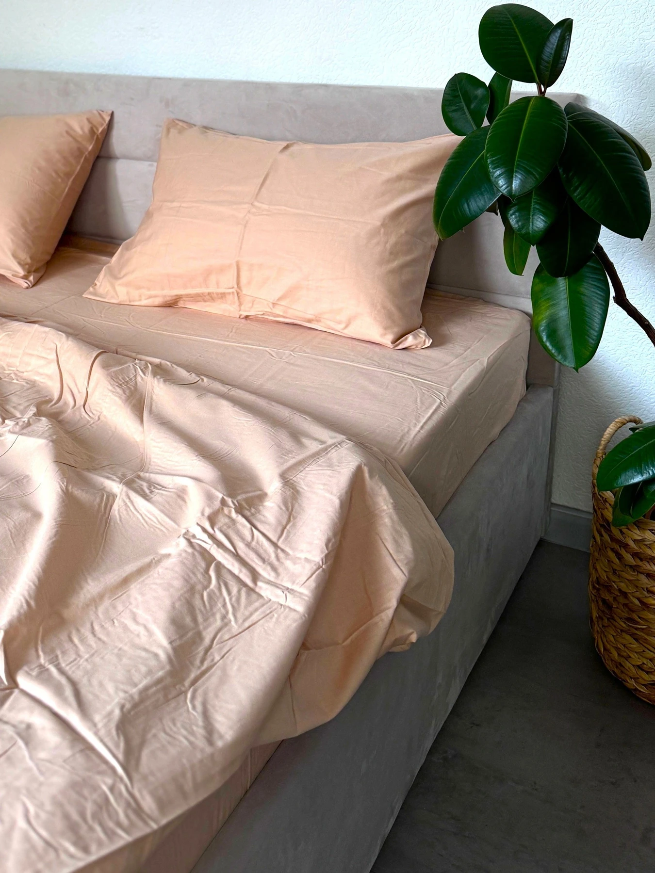 Комплект постельного белья полуторный однотонный бежевый (159А) Ecotton модель 22901 Комплект постельного белья полуторный однотонный бежевый (159А) Ecotton модель 22901 Фото