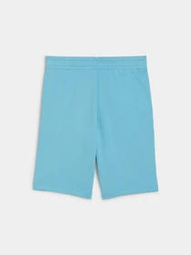 Шорты PUMA Ess Small Logo Shorts Tr B модель 688347 Фото
