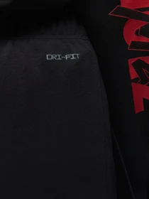 Штани Jordan Zion Crossover модель DX0637-010 Фото