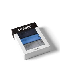 Нижнее белье Atlantic модель 3MH-209 Фото