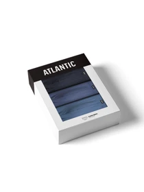 Нижнее белье Atlantic модель 3MP-192 Фото