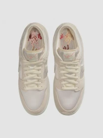 Кроссовки NIKE Sb Dunk Low Prm модель FZ5654-100 Фото