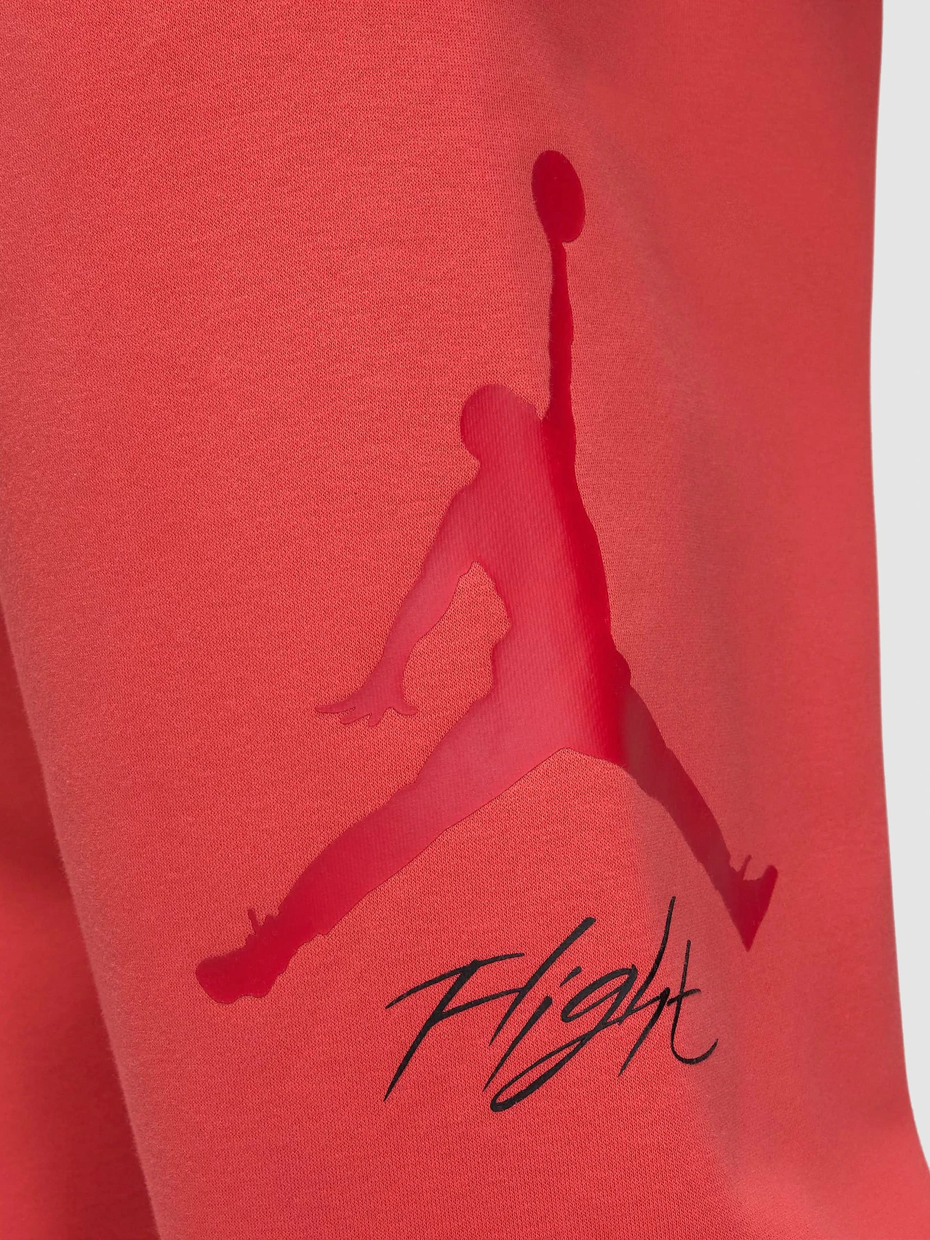 Брюки Jordan Essentials модель FD7345-604 Фото