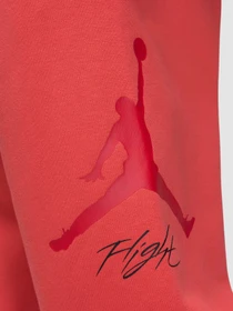 Брюки Jordan Essentials модель FD7345-604 Фото