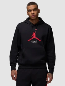 Худи и свитшоты NIKE M J Ess Flc Baseline Hoodie модель FD7545-013 Фото