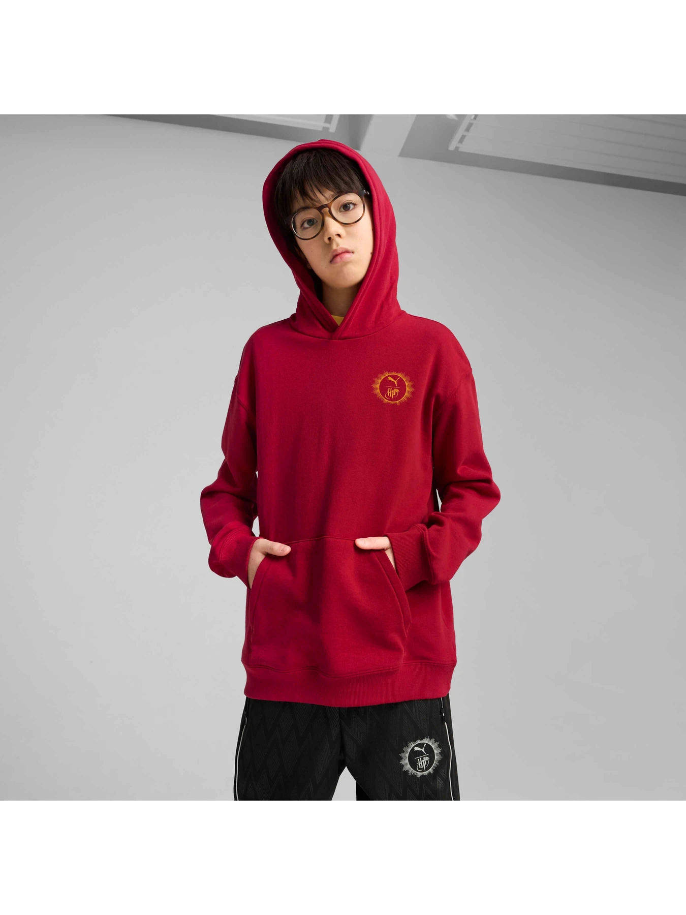 Худи и свитшоты PUMA x Harry Potter Hoodie модель 630078 Худи и свитшоты PUMA x Harry Potter Hoodie модель 630078 Фото