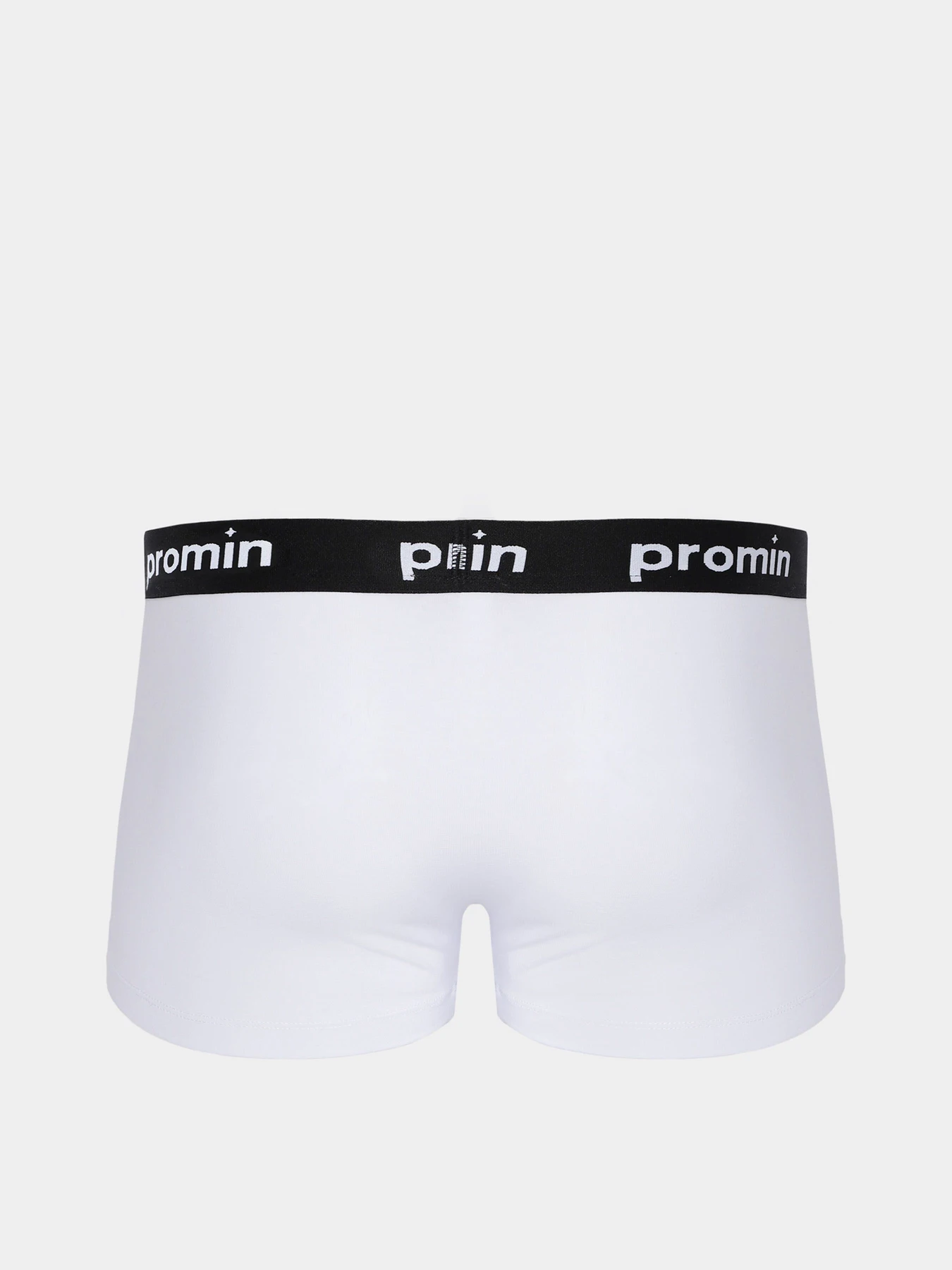 Нижня білизна Promin модель 1991-03_200 Нижня білизна Promin модель 1991-03_200 Фото