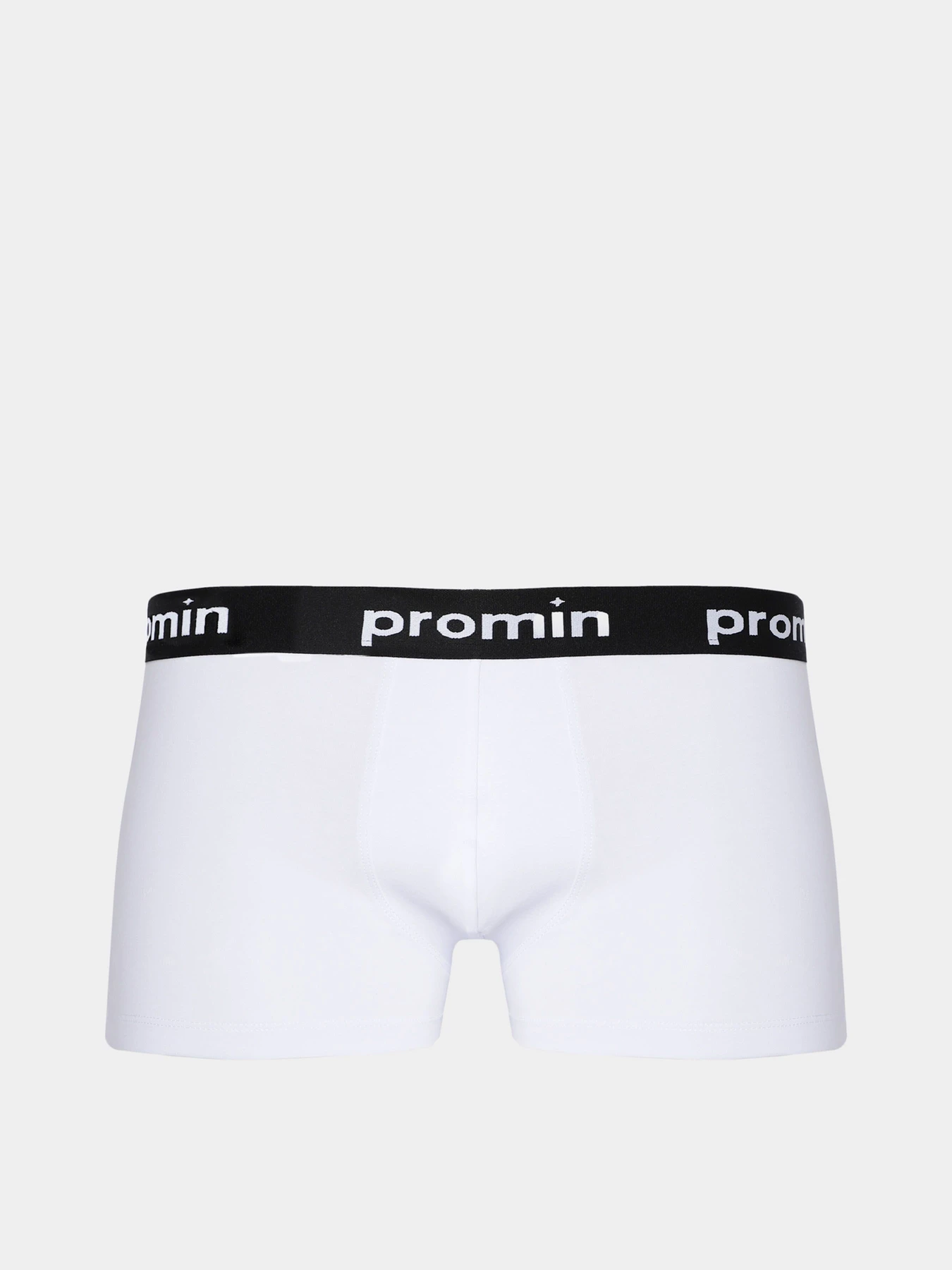 Нижня білизна Promin модель 1991-03_200 Нижня білизна Promin модель 1991-03_200 Фото