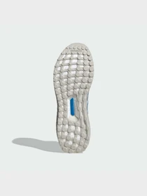 Кроссовки Adidas Ultraboost модель JR3148 Фото