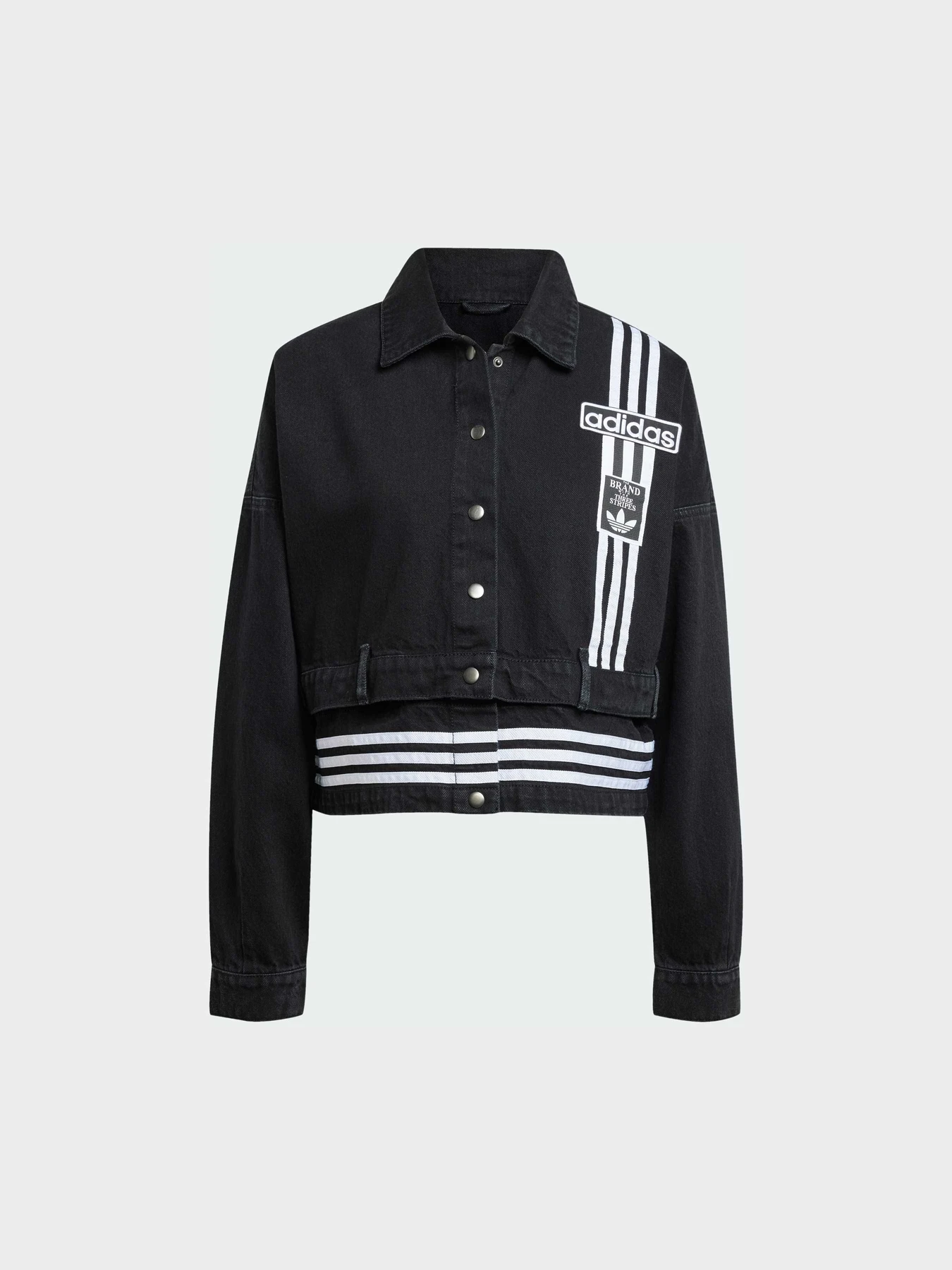 Куртки и дубленки Adidas Adicolor модель JJ3095 Куртки и дубленки Adidas Adicolor модель JJ3095 Фото