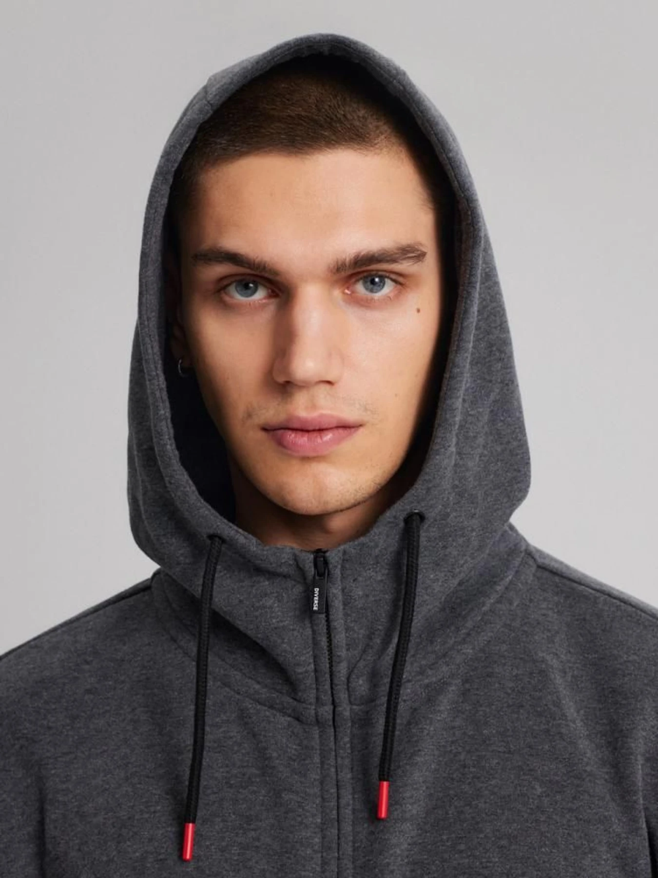 Худи и свитшоты DIVERSE Evb Hoody 241 модель 10043613 Фото