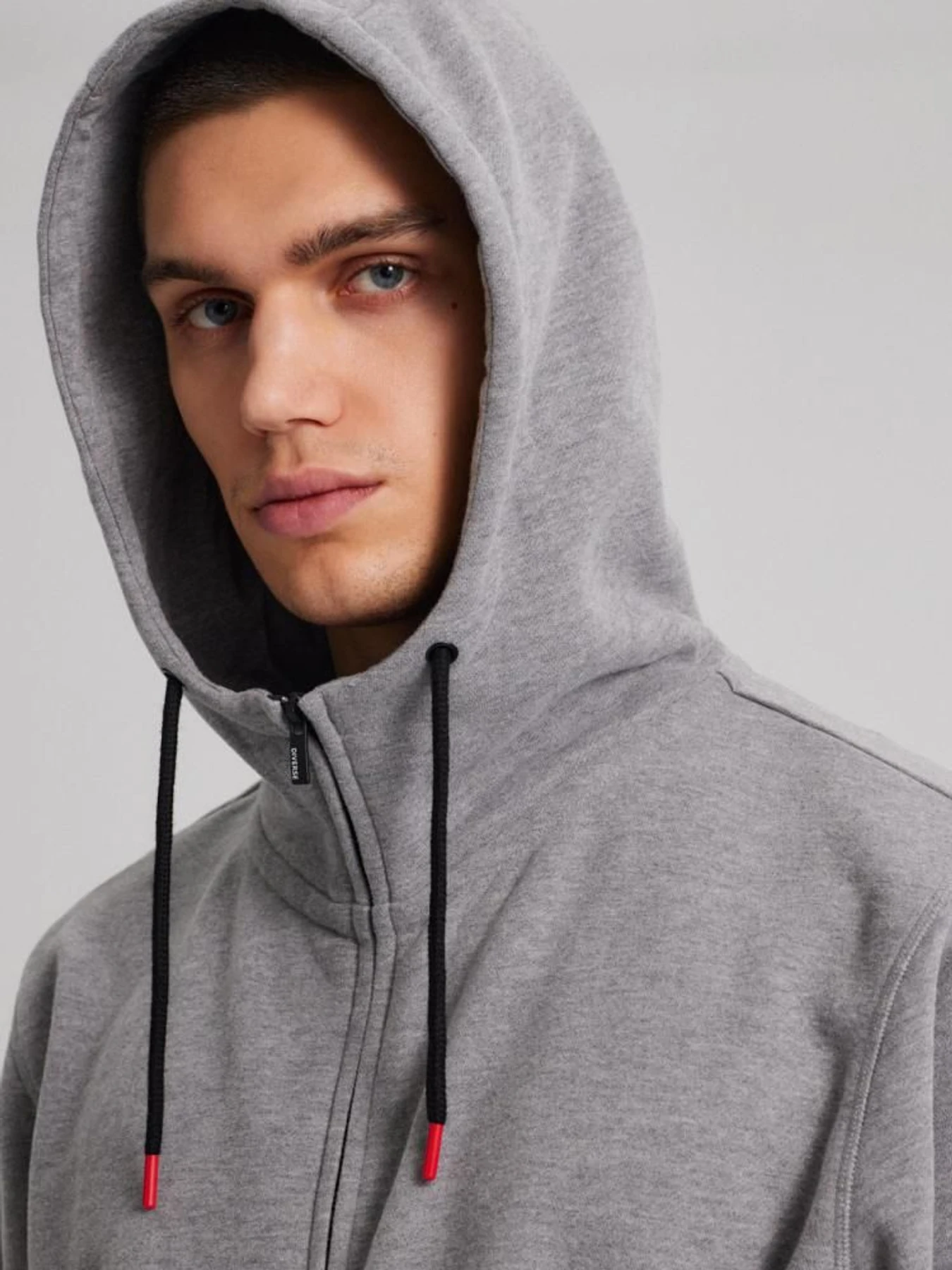 Худи и свитшоты DIVERSE Evb Hoody 241 модель 10043613 Фото