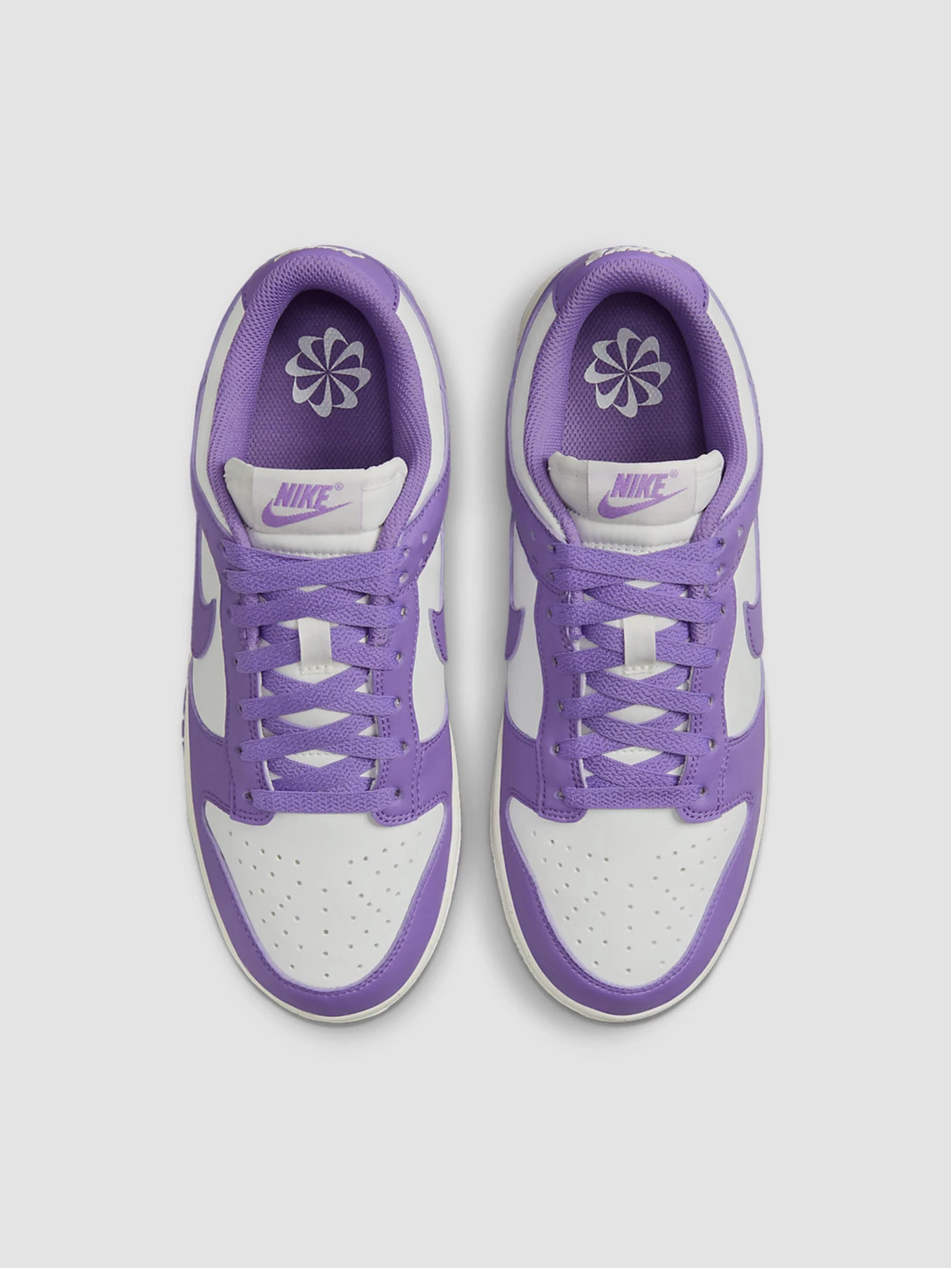 Кросівки NIKE Dunk Low Next Nature модель DD1873-108 Фото