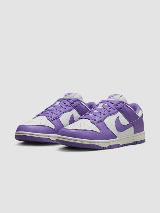 Жіночі Кросівки повсякденні NIKE Dunk Low Next Nature фото 2
