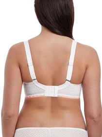 Нижня білизна Freya Daisy Lace модель 5132WHE Фото