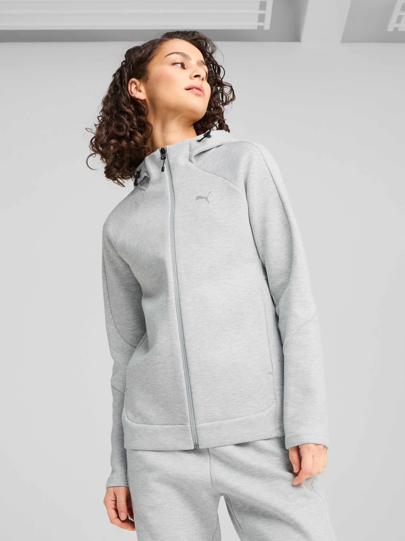Худи и свитшоты PUMA Evostripe Full-zip Hoodie модель 685050 Фото