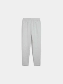 Брюки PUMA Evostripe Sweatpants модель 685051 Фото