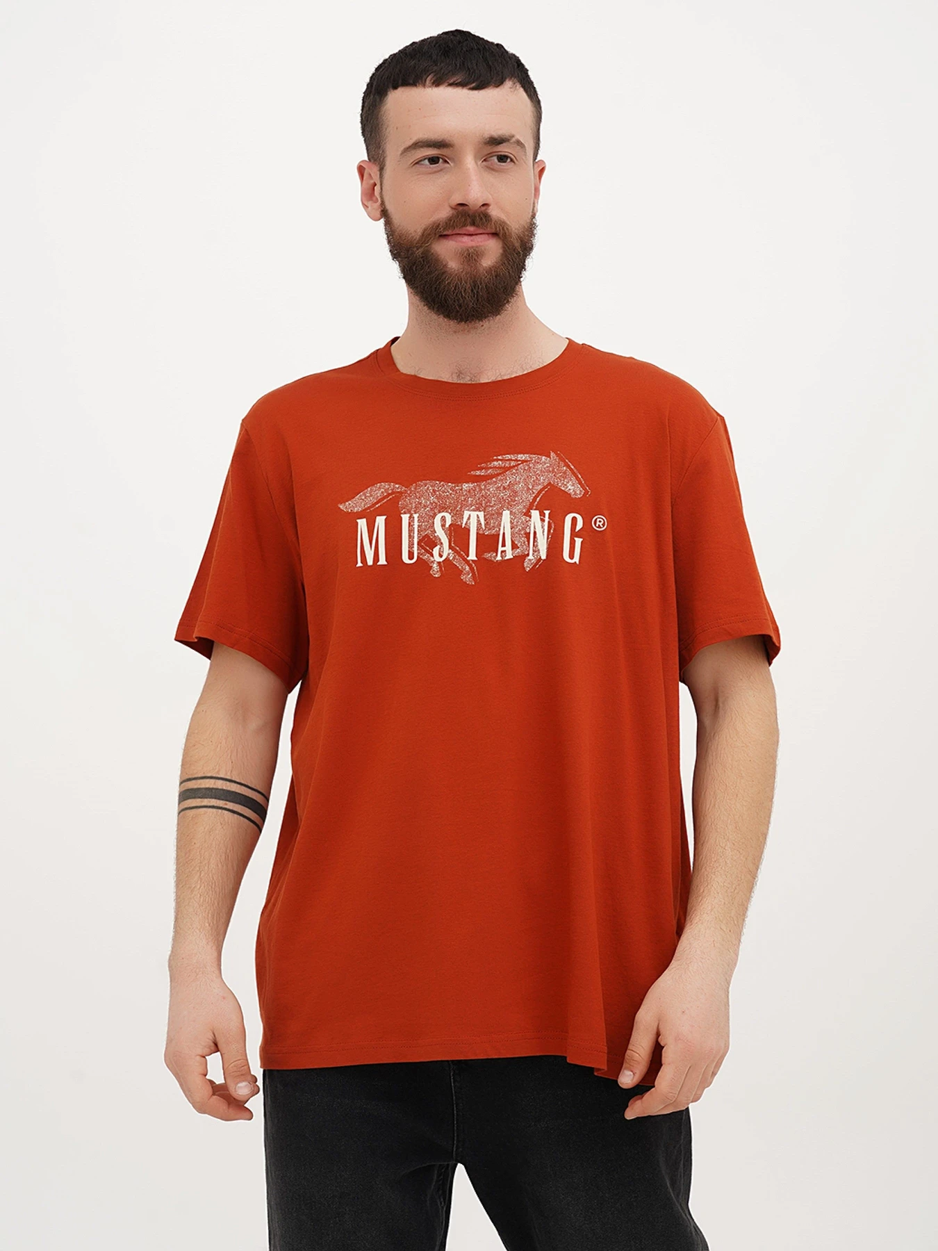 Футболки і поло Mustang Jeans Alex C Print модель 4024458 Футболки і поло Mustang Jeans Alex C Print модель 4024458 Фото