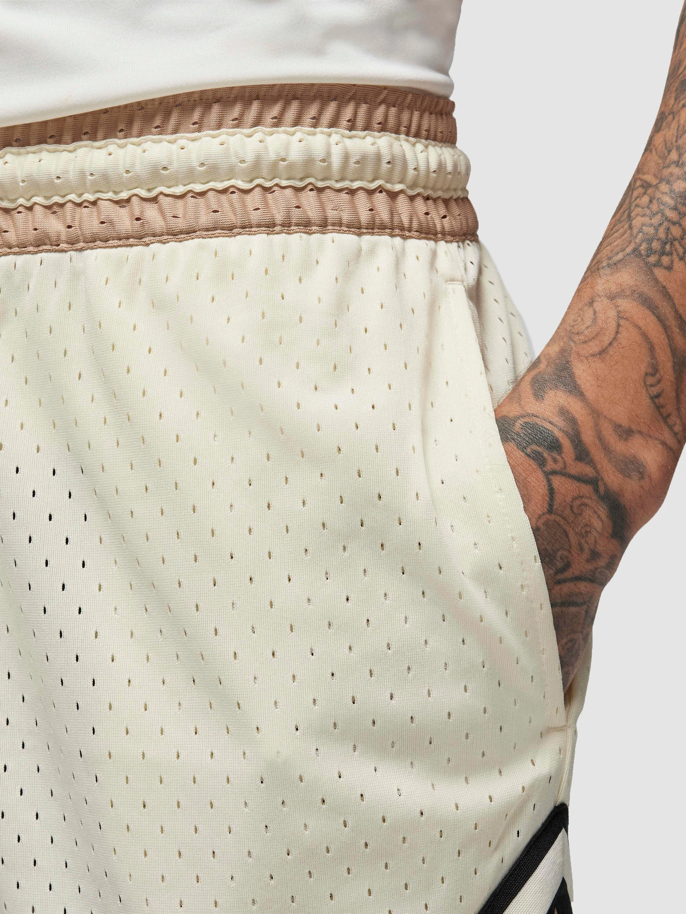 Шорти Jordan Dri-Fit Sport модель DX1487-113 Фото