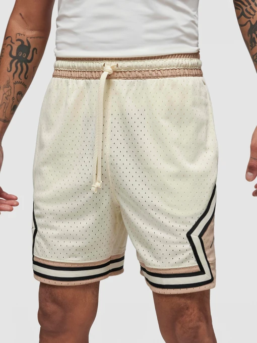 Шорти Jordan Dri-Fit Sport модель DX1487-113 Фото