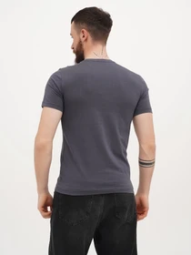 Футболки и поло Mustang Jeans Alex C LOGO Tee модель 1009738 Фото