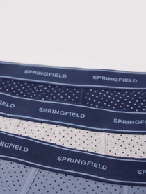 Нижня білизна SPRINGFIELD модель 1259363-11 Фото
