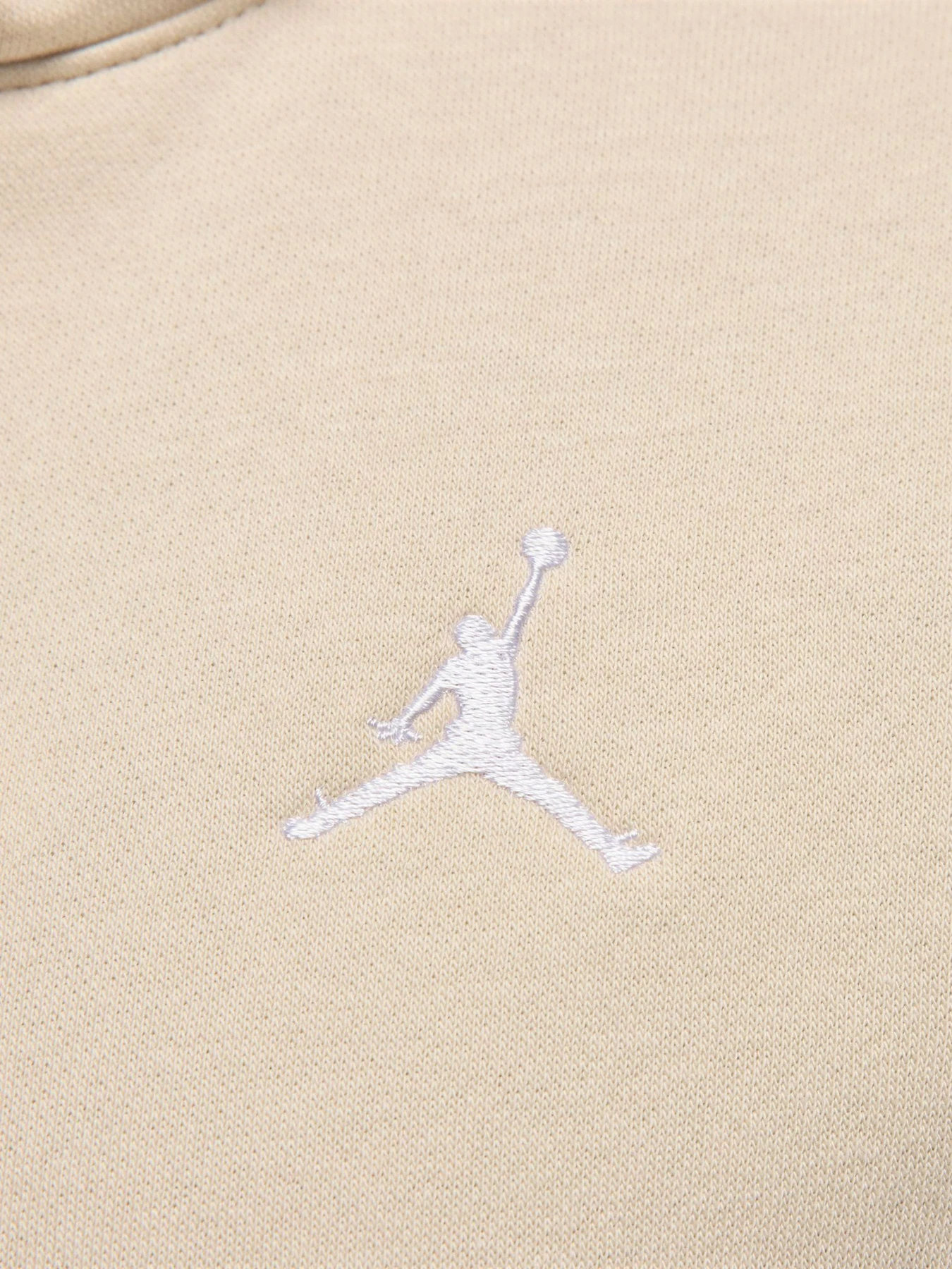Худи и свитшоты Jordan Brooklyn Fleece модель FV7071-203 Фото