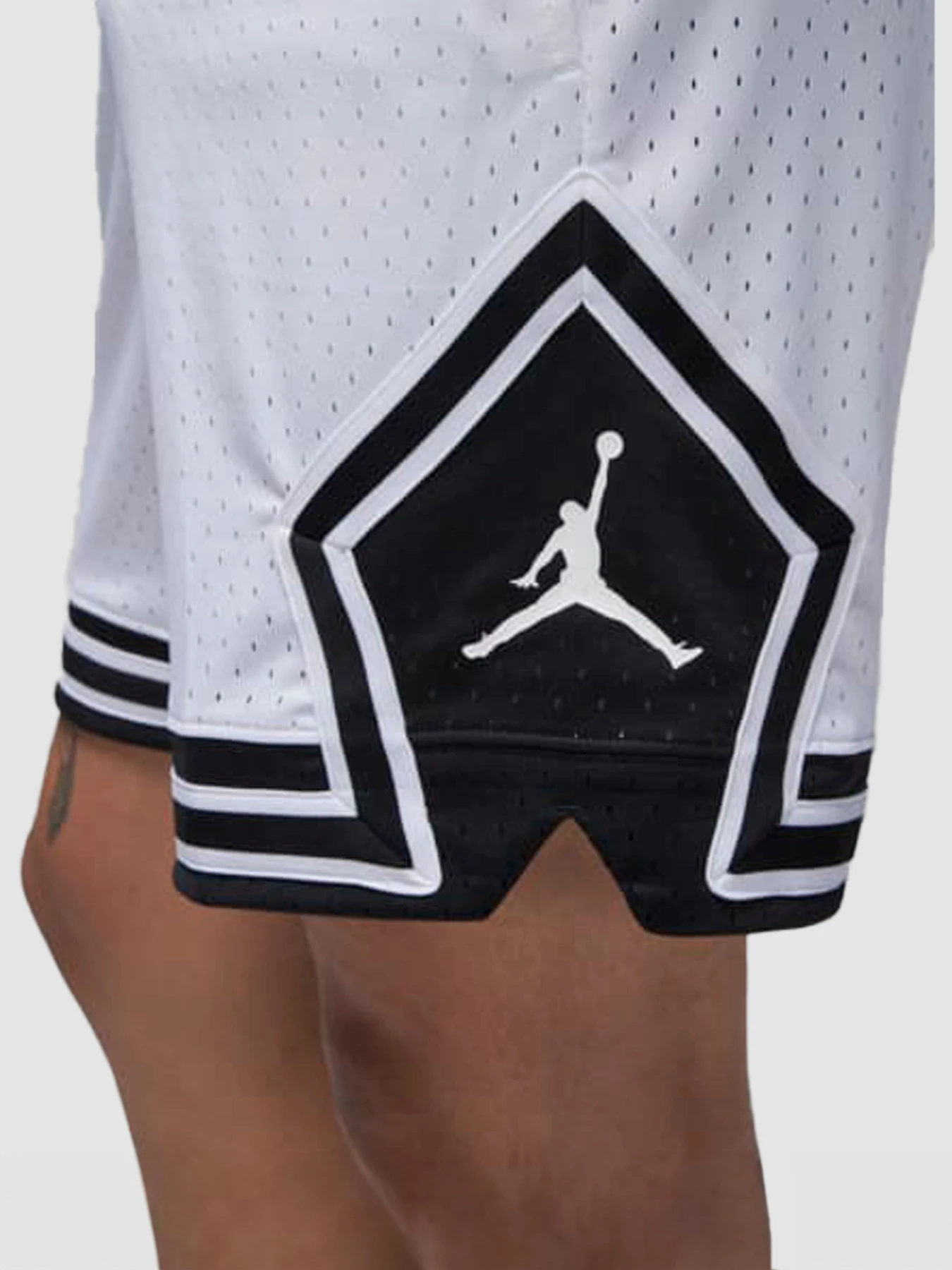 Шорты Jordan Dri-Fit Sport модель DX1487-100 Фото